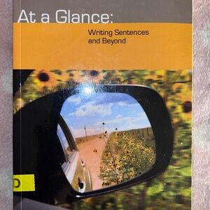 At A Glance Writing Sentences & Beyond Textbook